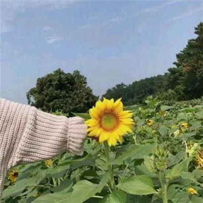 符文狂暴破解版下载